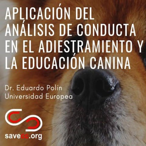 Adiestramiento canino